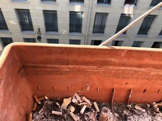 "Non smoking" property :-))