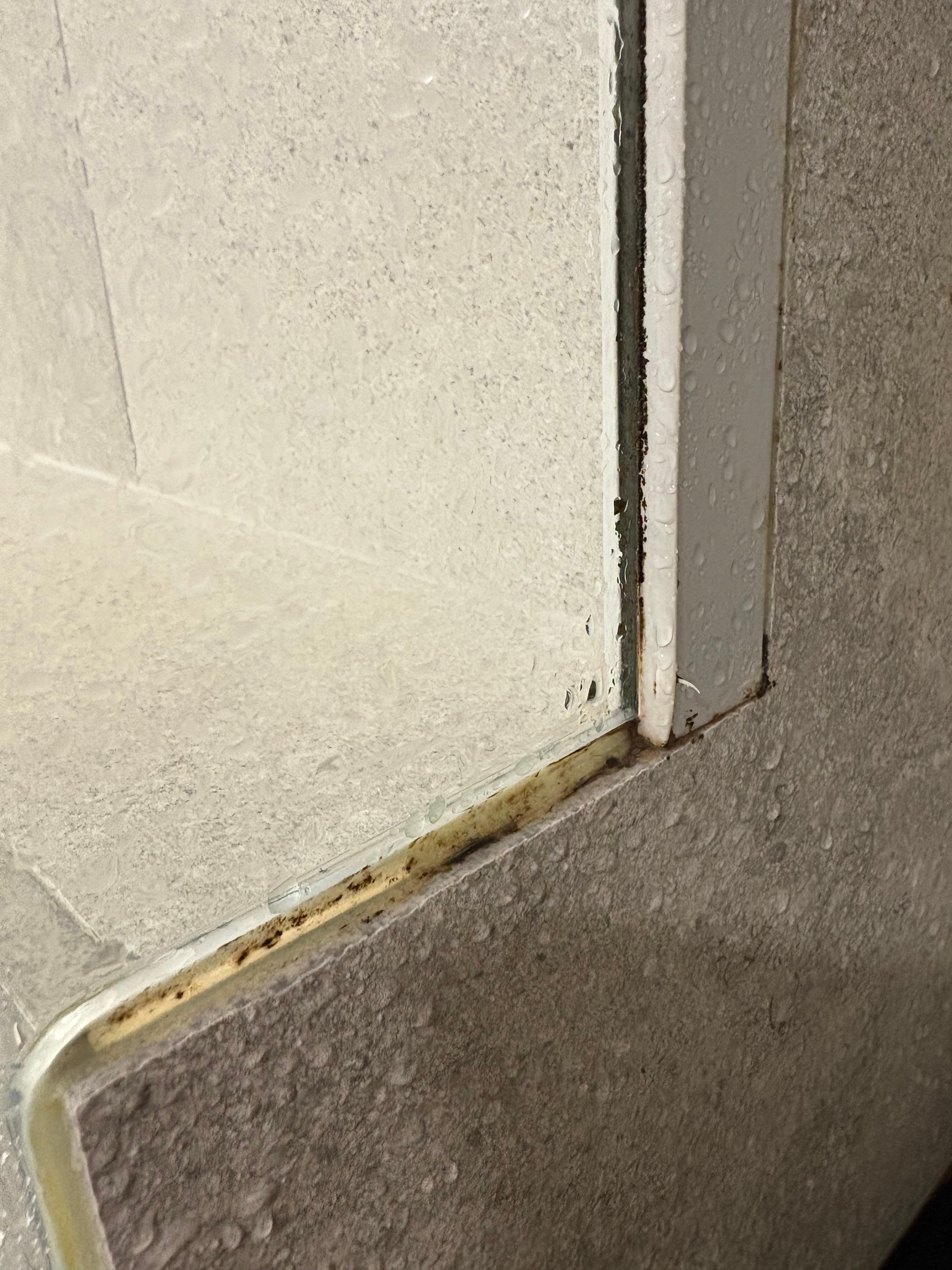 Mould in shower