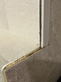 Mould in shower