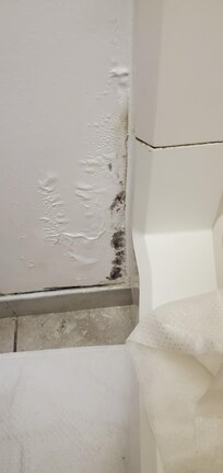 Black Mold and caused sickness