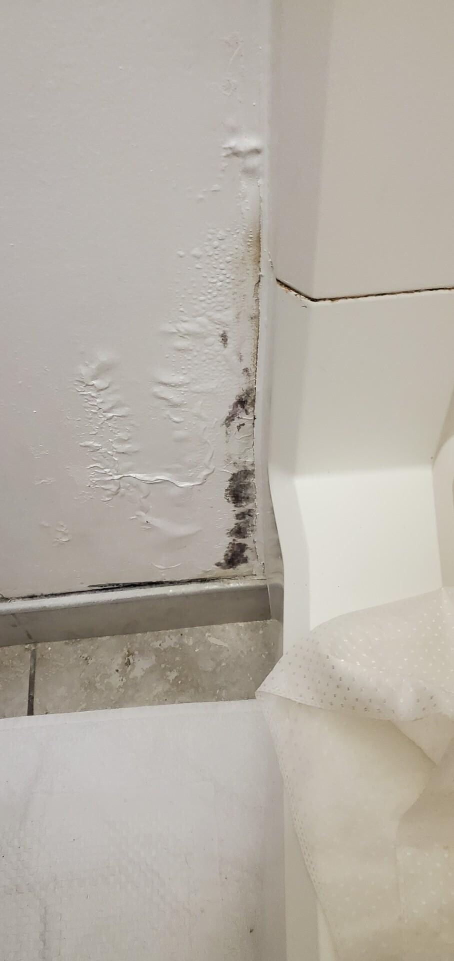 Black Mold and caused sickness