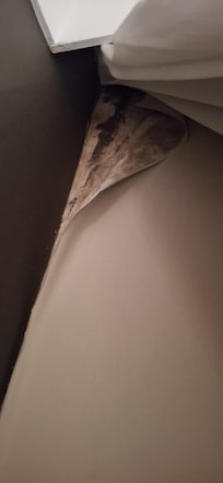 Moho al retirar la cortina