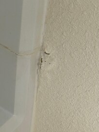 Bathroom wall