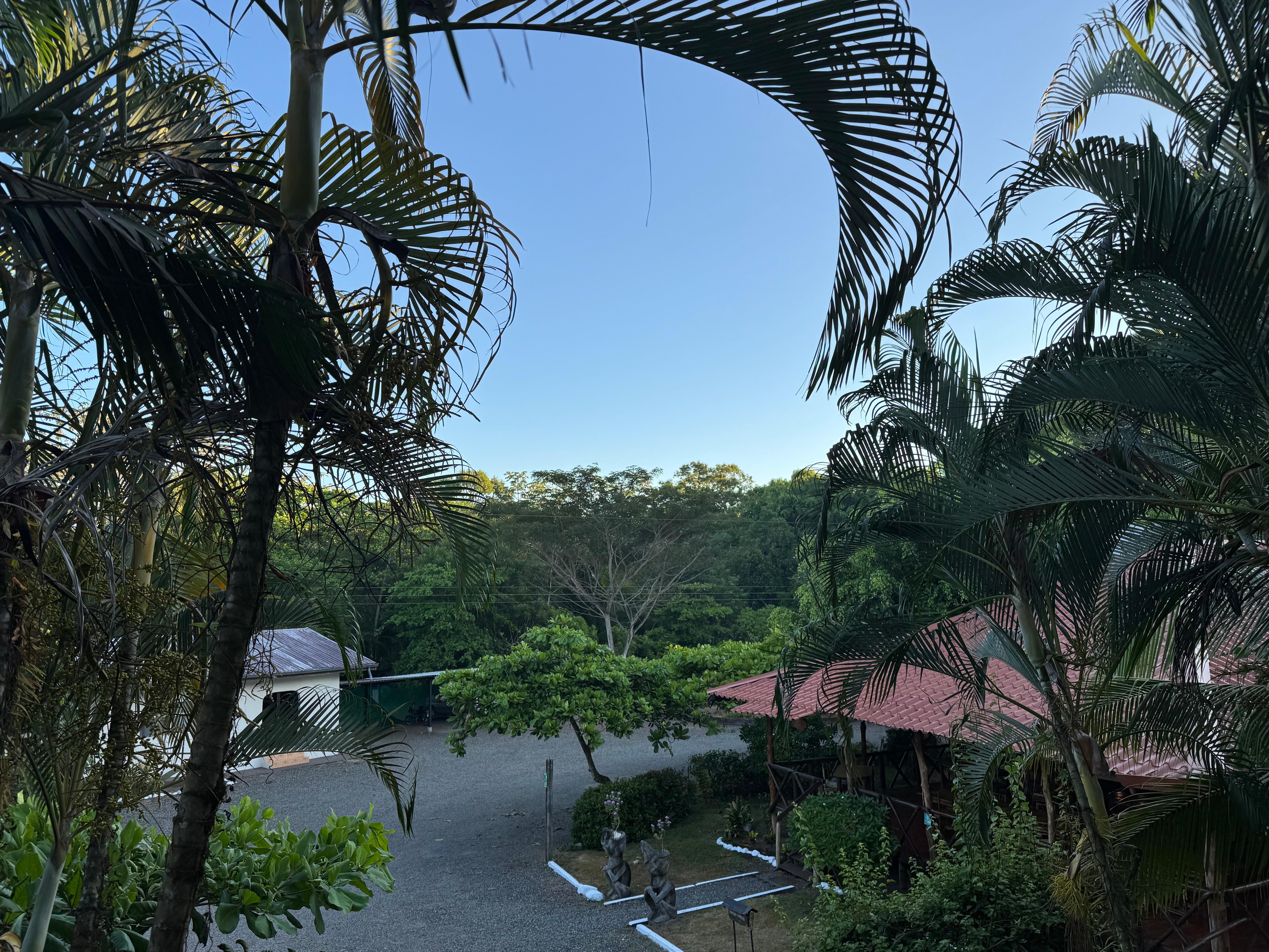 View from a backside room