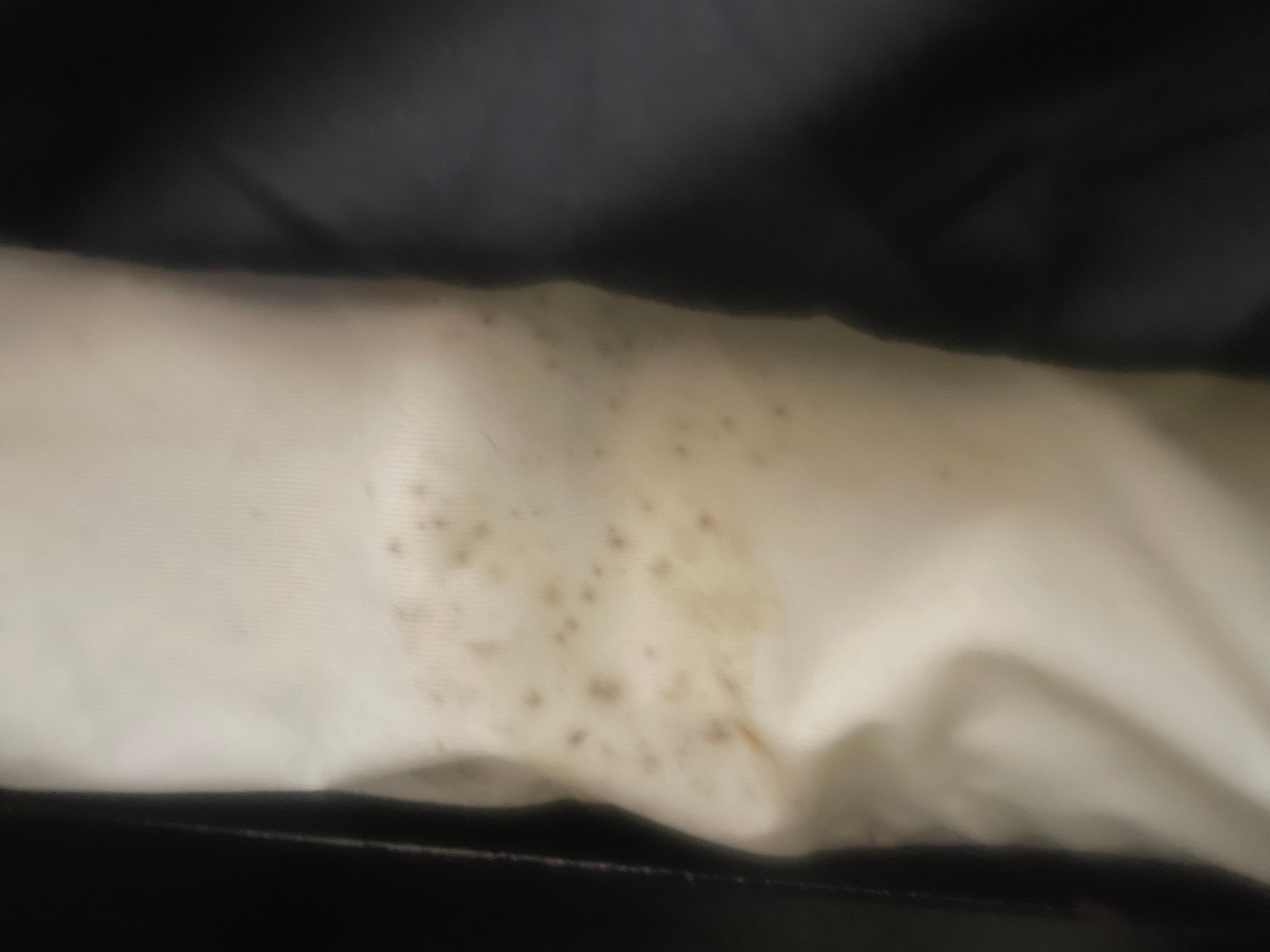 This was the bed sheet under the comforter they tried to say it was a stain. But this was making me and my boyfriend sick and we tested it and it was black mold and mildew we could have gotten really sick.