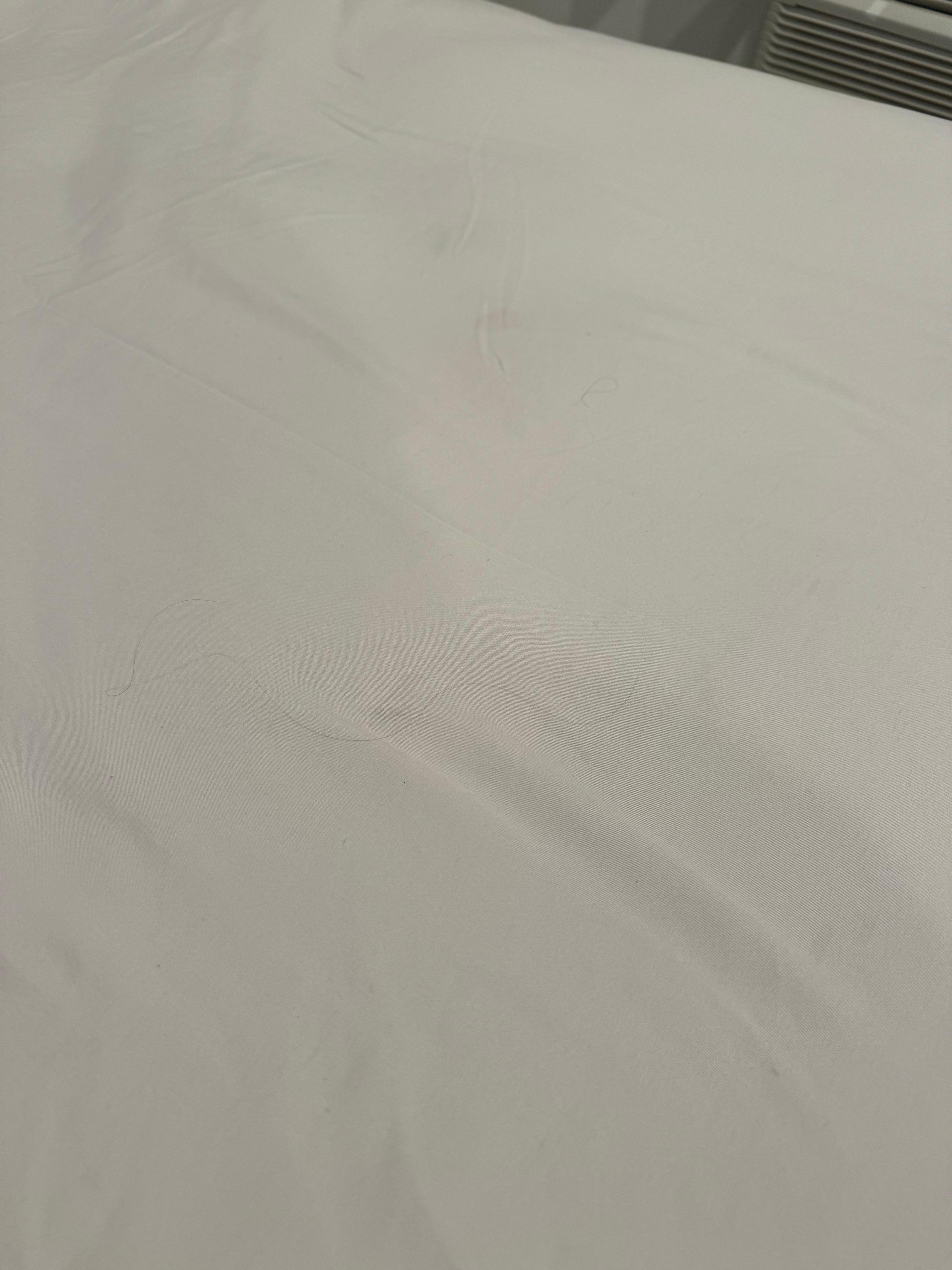 Hairs on the bed, under the comforter- so they did not belong to us. 