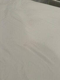 Hairs on the bed, under the comforter- so they did not belong to us.