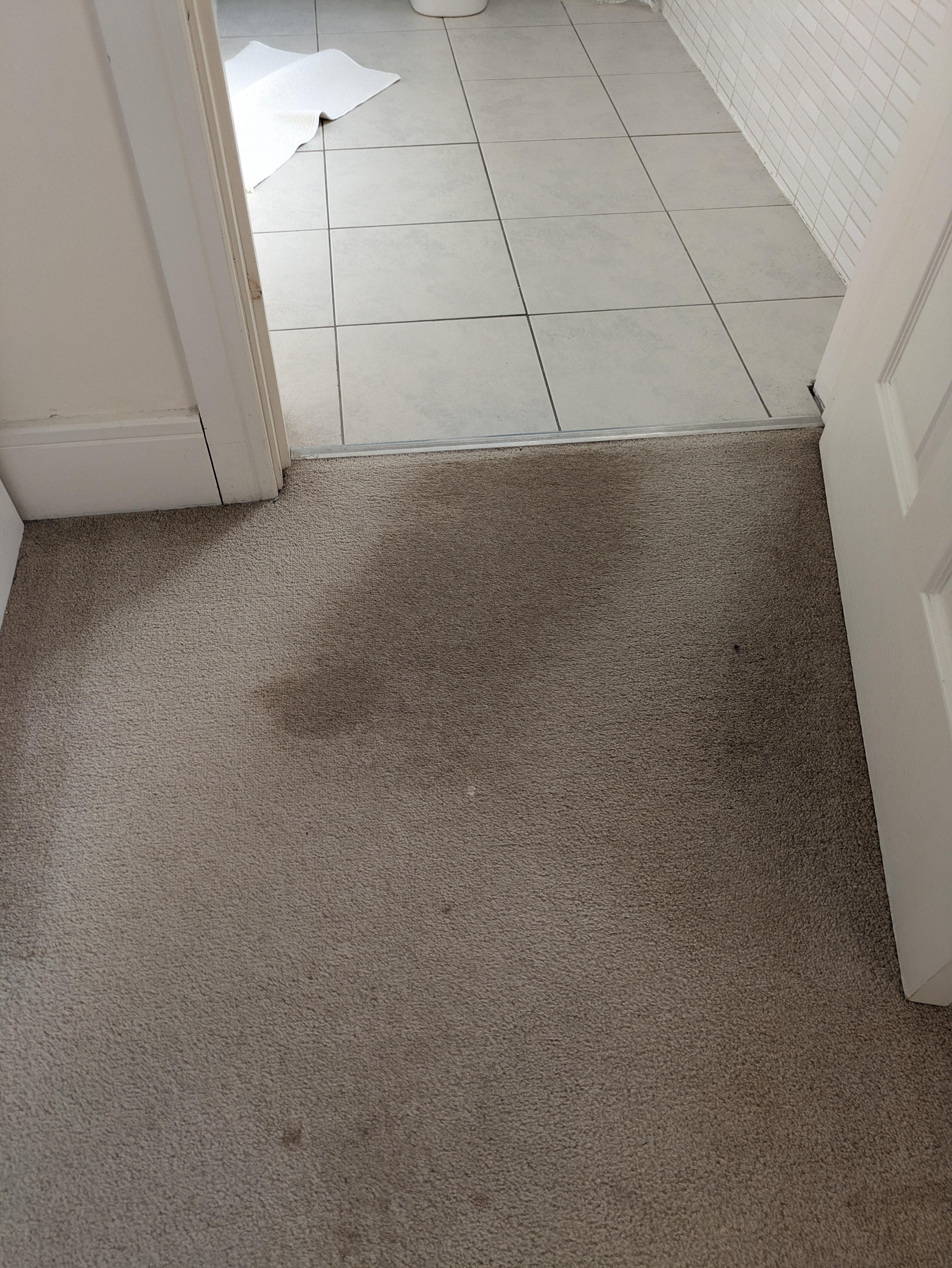 Heavily stained carpet