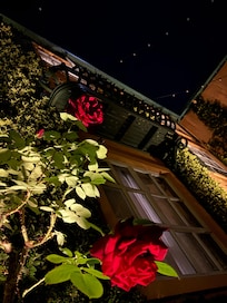 The wishing well terrace.