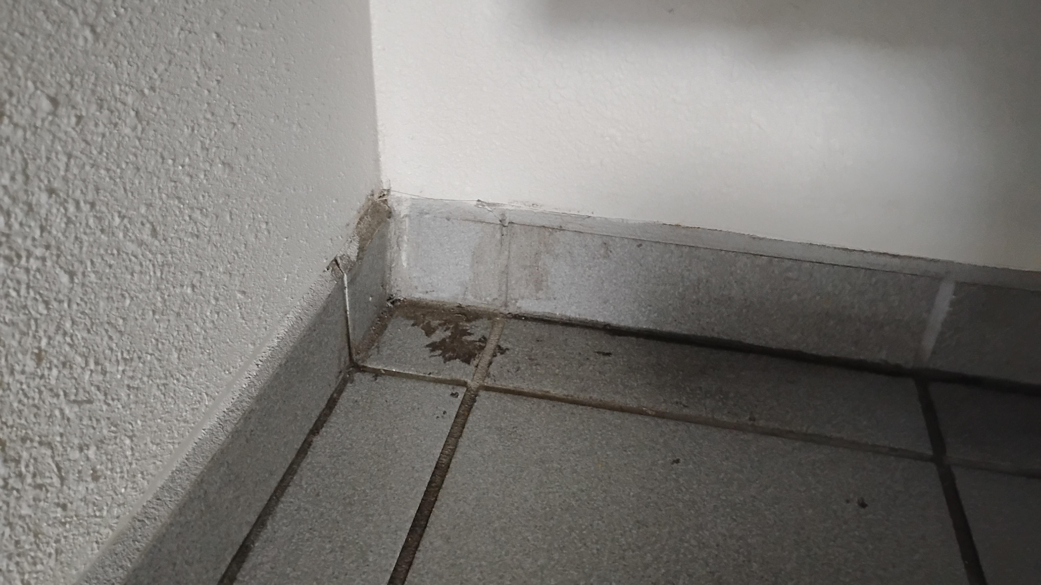 One of many stains we found