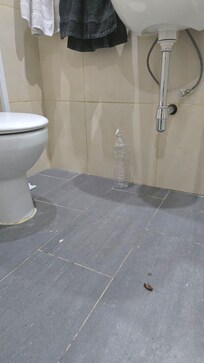 Cockroach in the bathroom