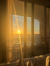 Morning view from my bed.