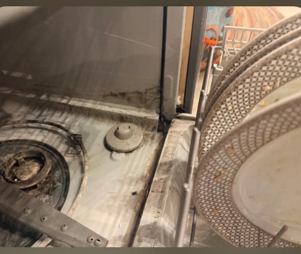 Black mold in the dishwasher 