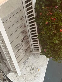Rot on stairs to pool