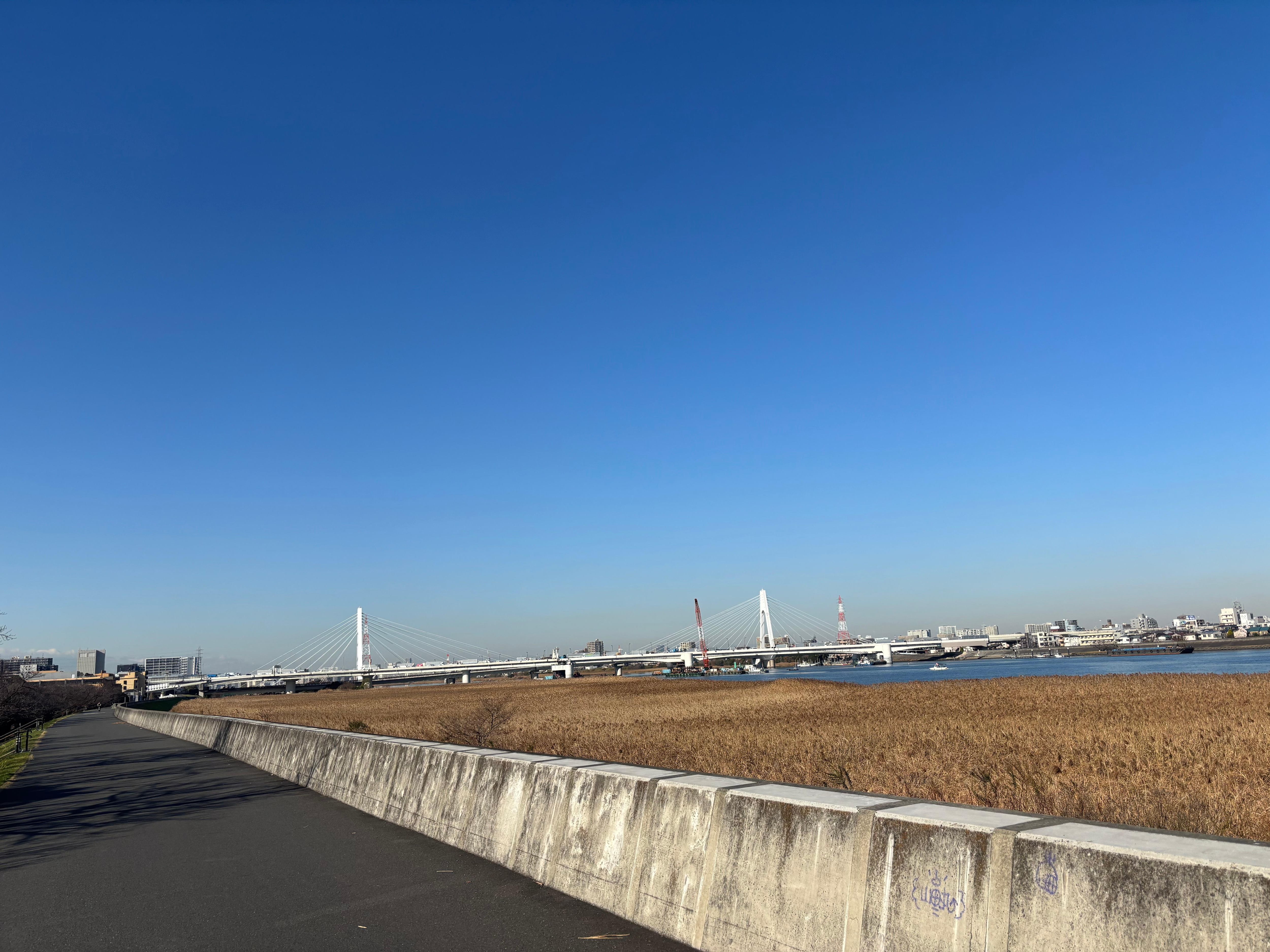 Great walking path along river right outside of hotel.  Safe and extremely  pleasant