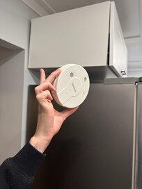 no mounted smoke detector