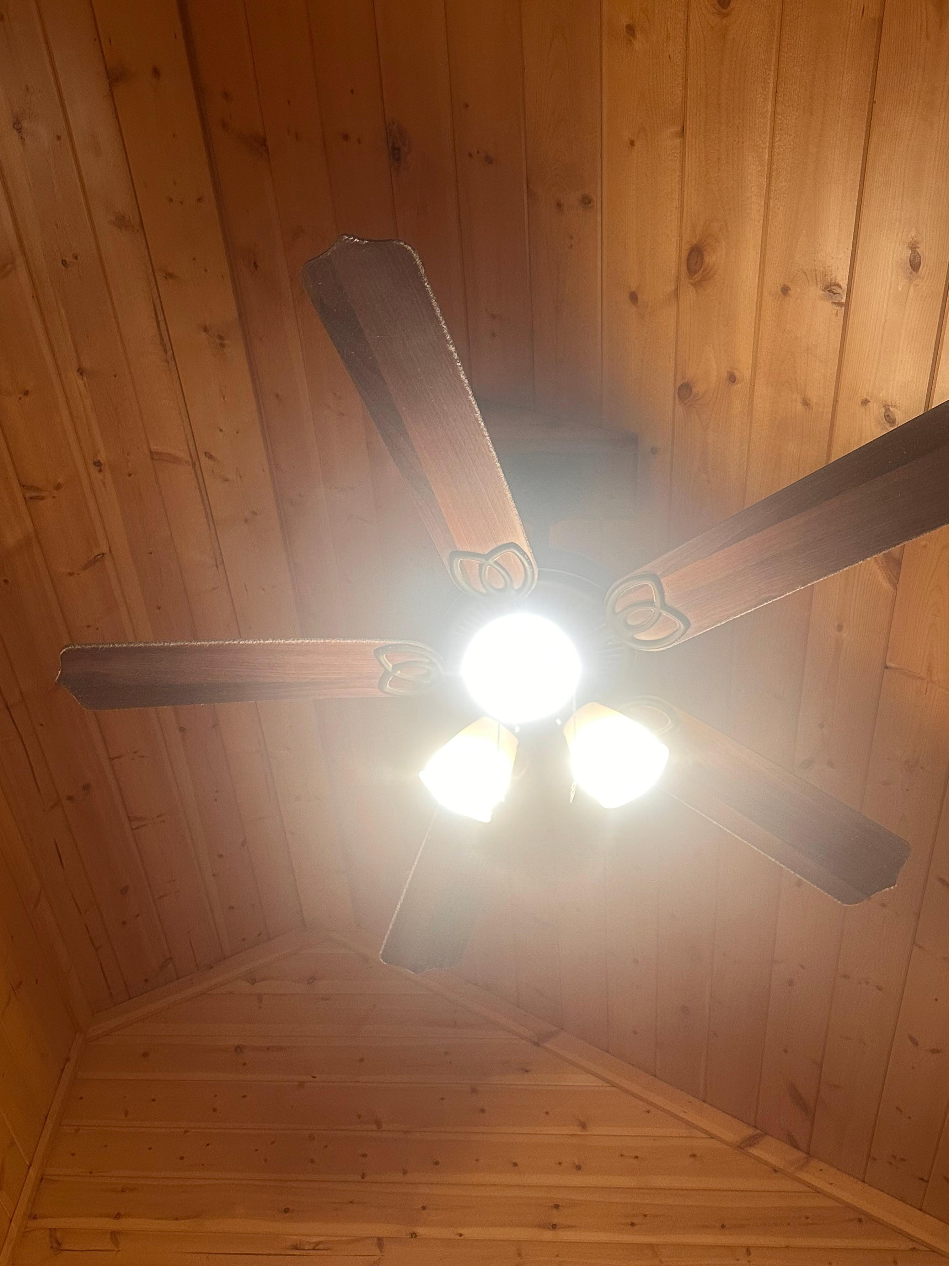Dirty ceiling fans 