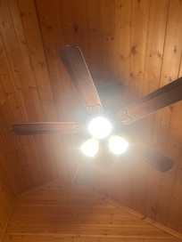 Dirty ceiling fans