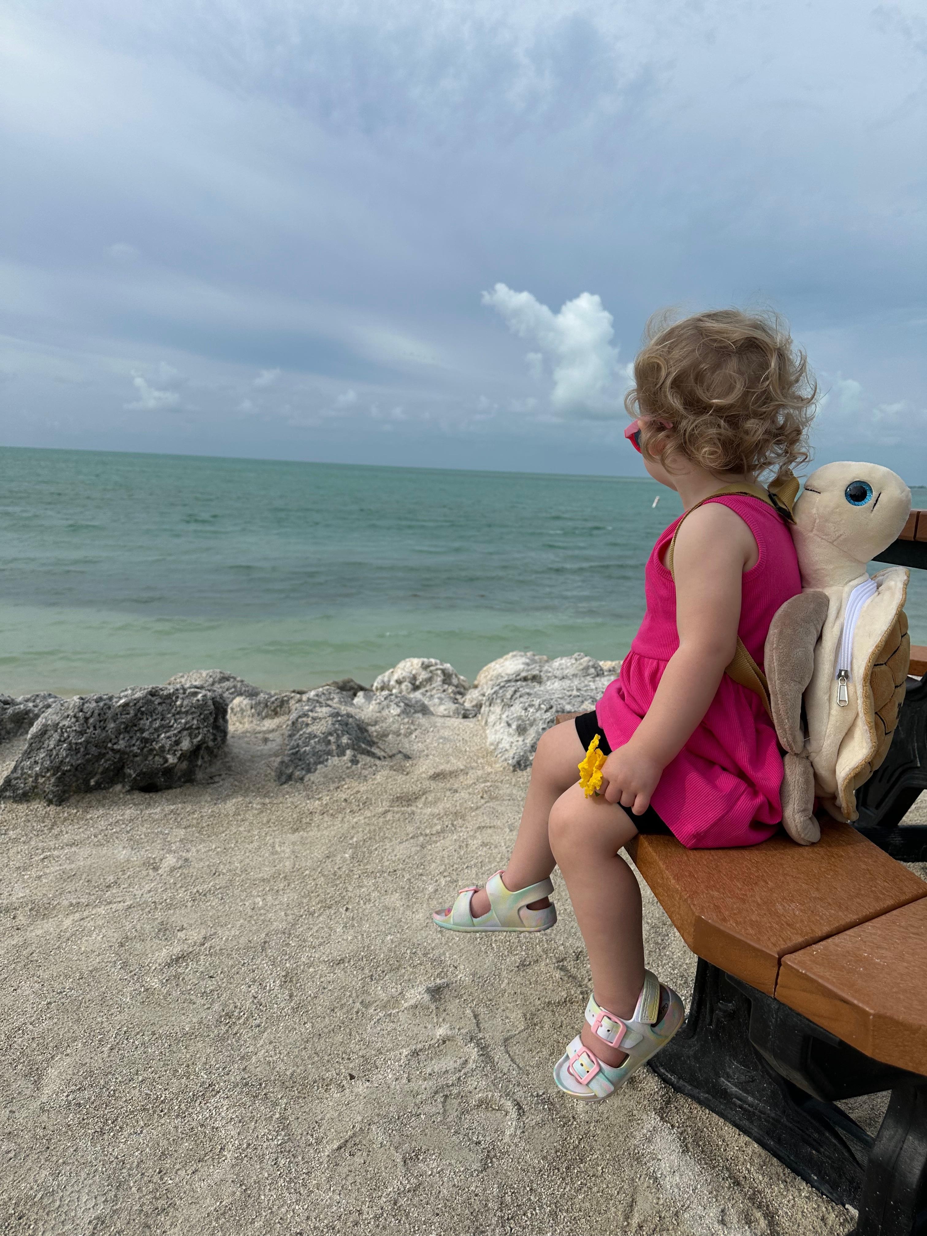 Visiting Sunset Park 