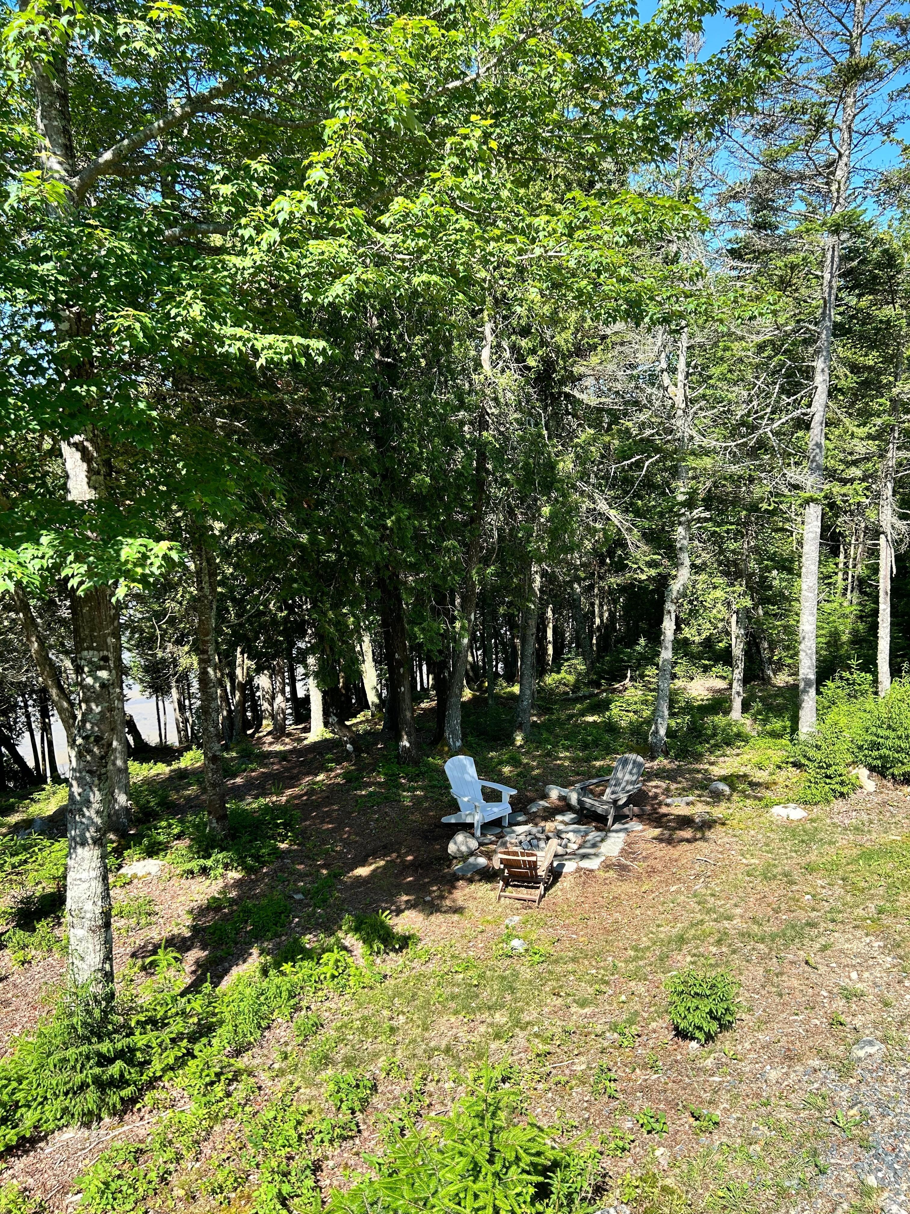 Backyard views from the deck
