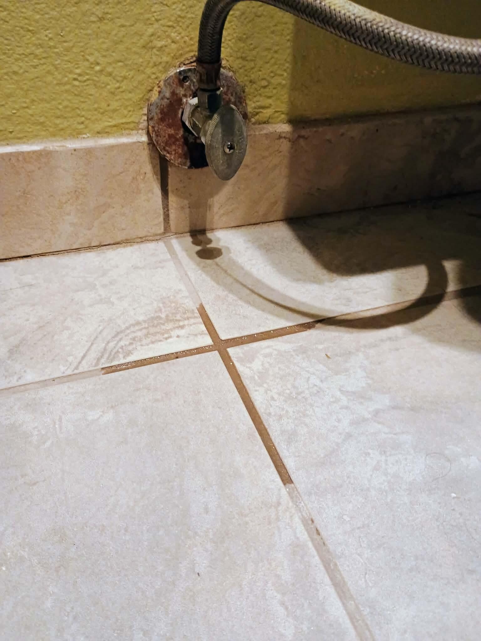 Rusting leaky toilet 