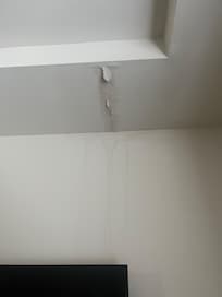 There were leak marks like this throughout the house
