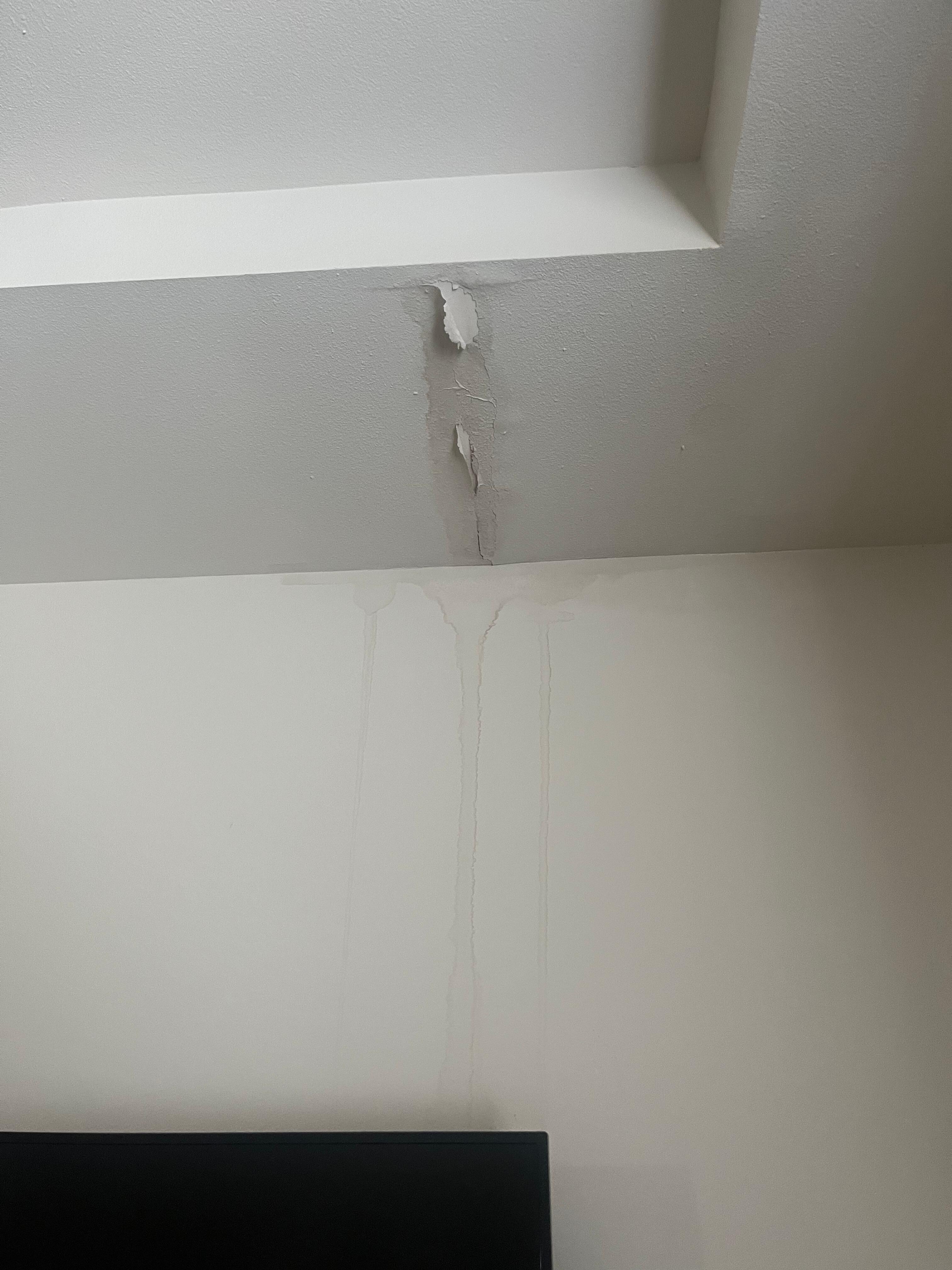 There were leak marks like this throughout the house