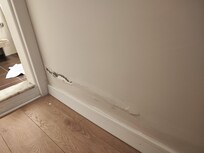 Damp unhealthy, smelly walls
