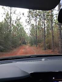 Road to cabin