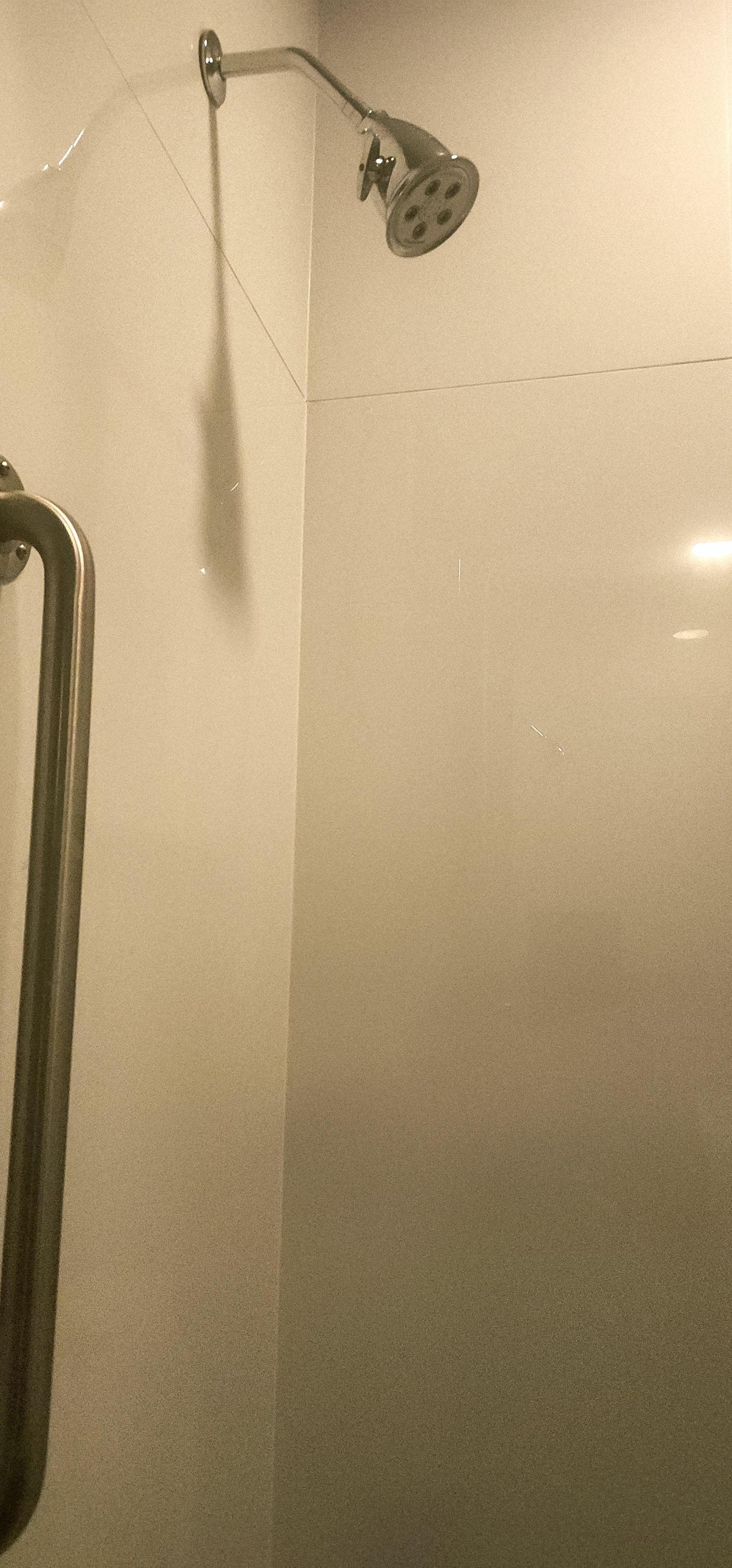 No soap dishes or disabled hand railing