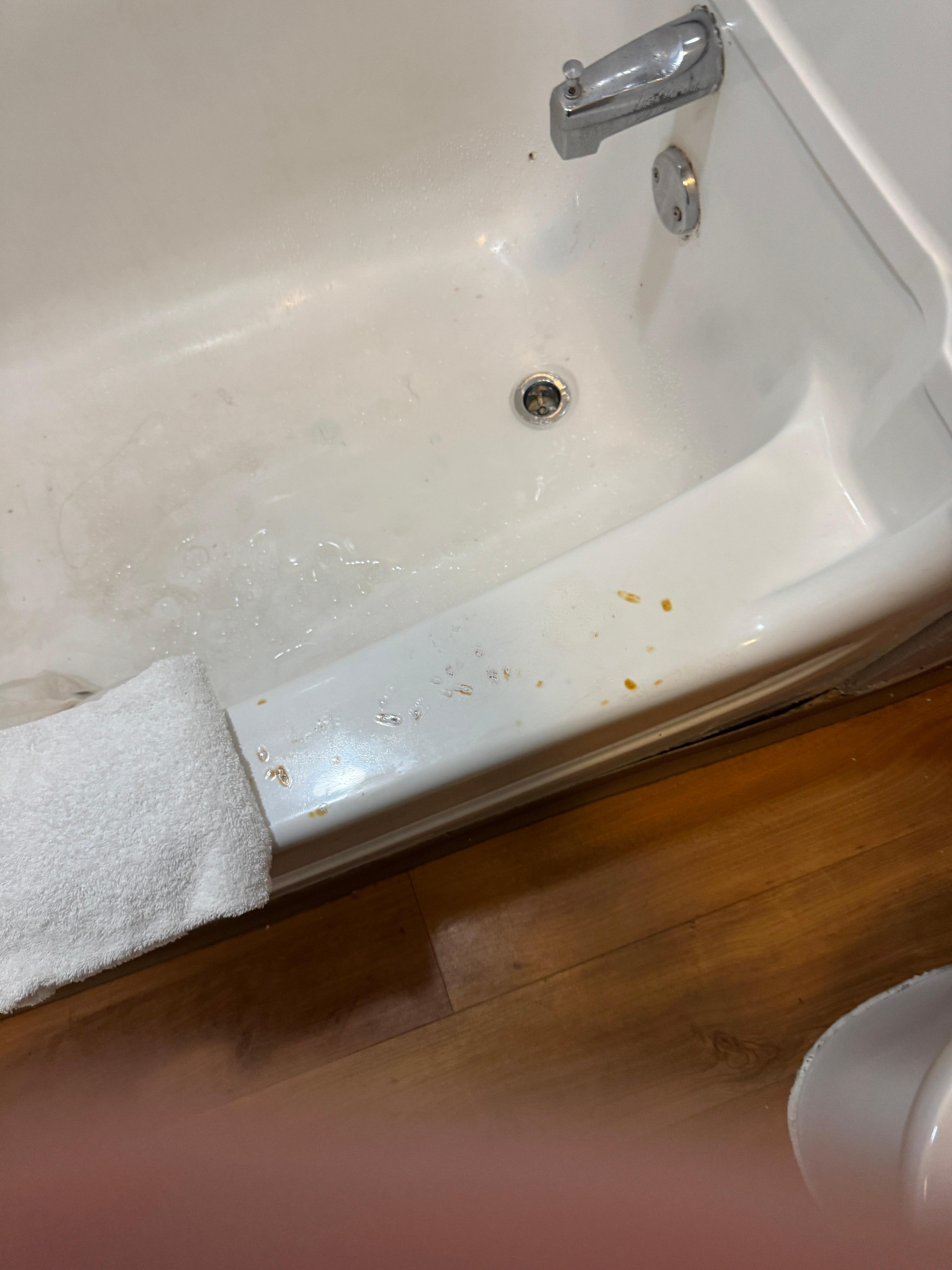 Bathrub upon entering the room 