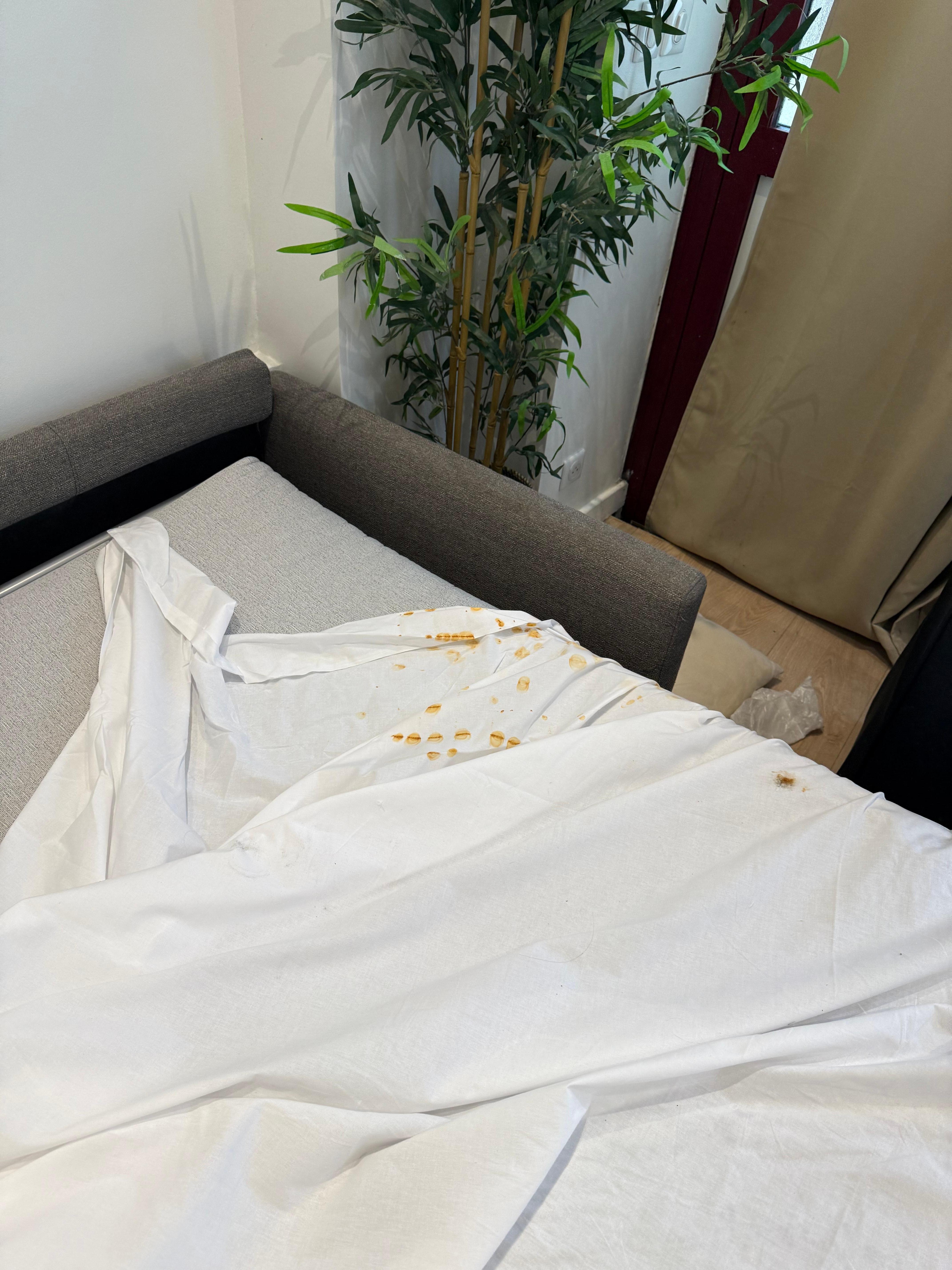 This is the rust on the bedsheets on my children’s bed. It had not been changed for awhile, obviously.