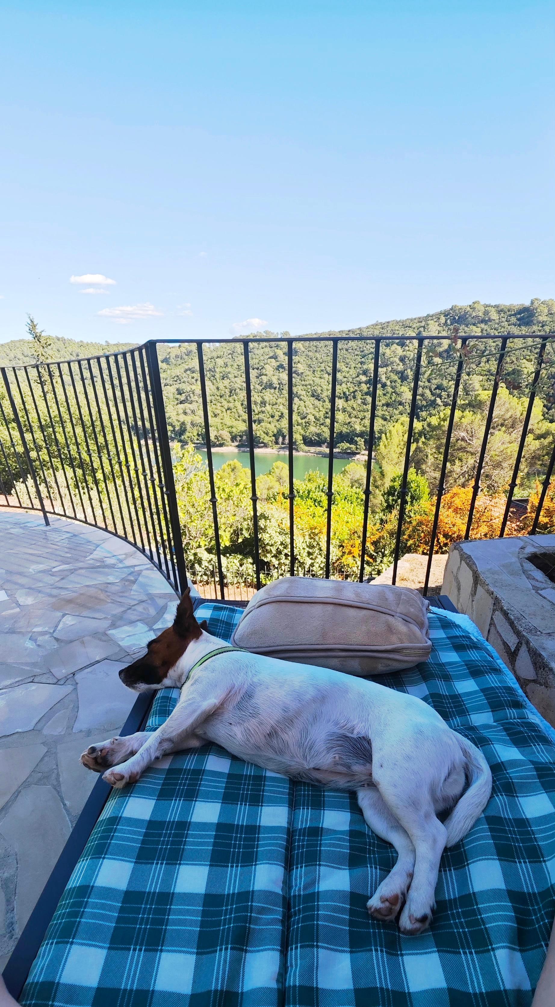 Elle est pas belle la vie...