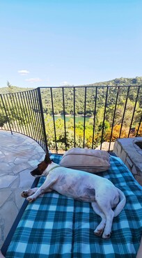 Elle est pas belle la vie...