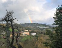 View of the hillside from the backyard in November