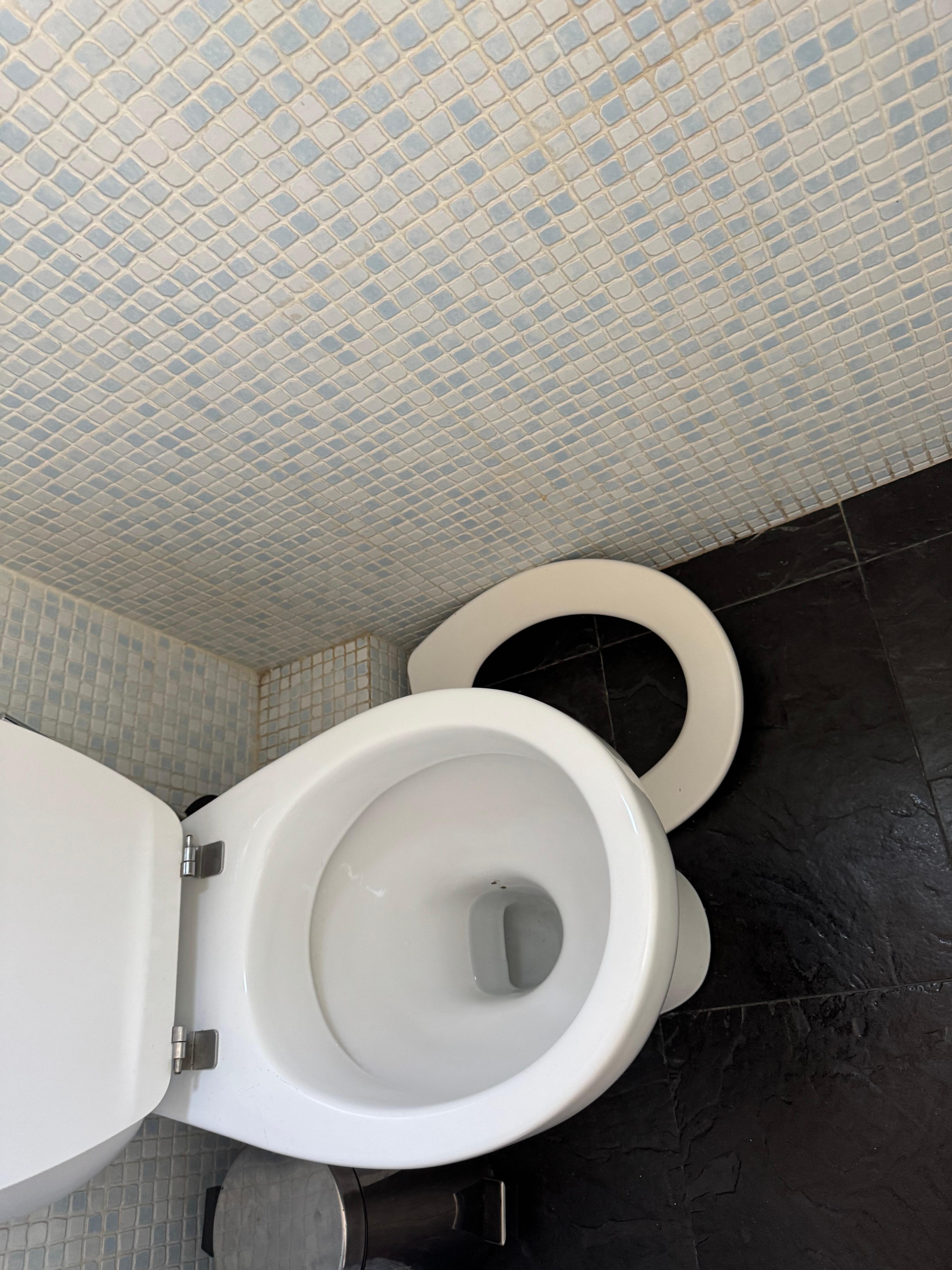 Broken toilet seat left on the side by cleaners