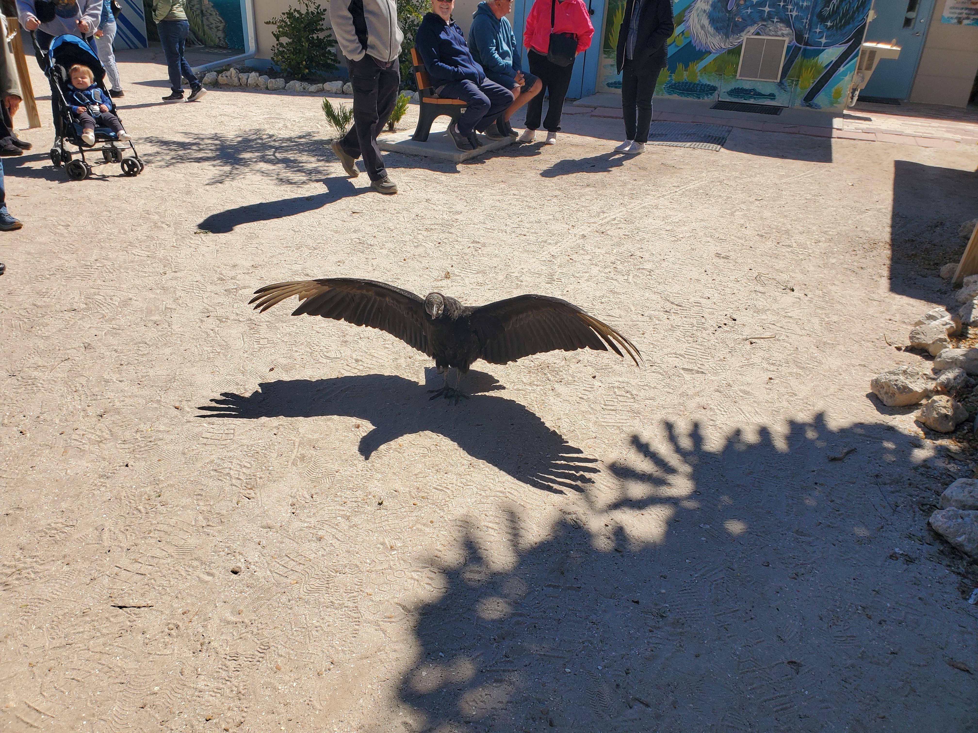 Nearby bird sanctuary 