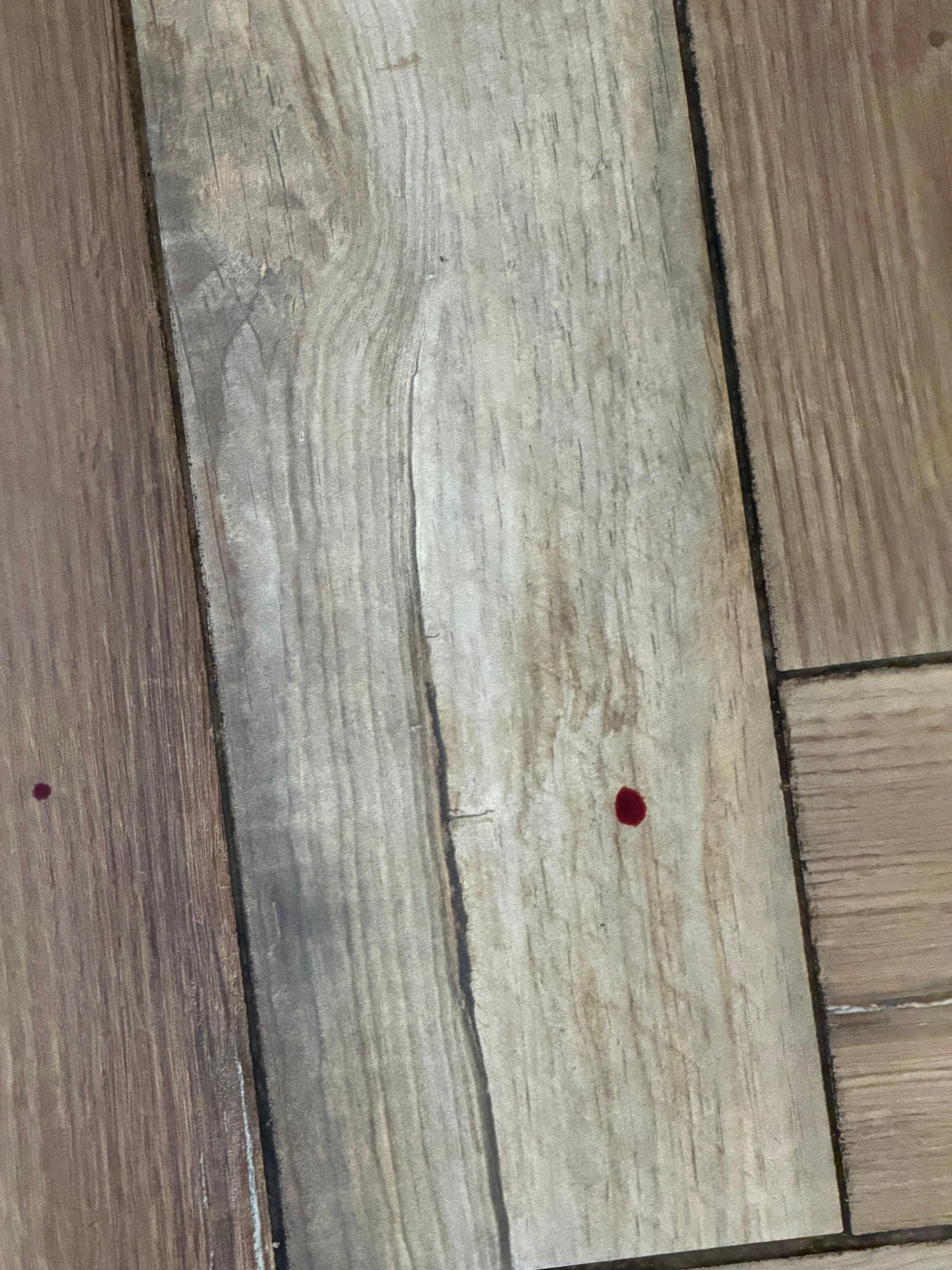 Blood on floor in lobby of hotel 