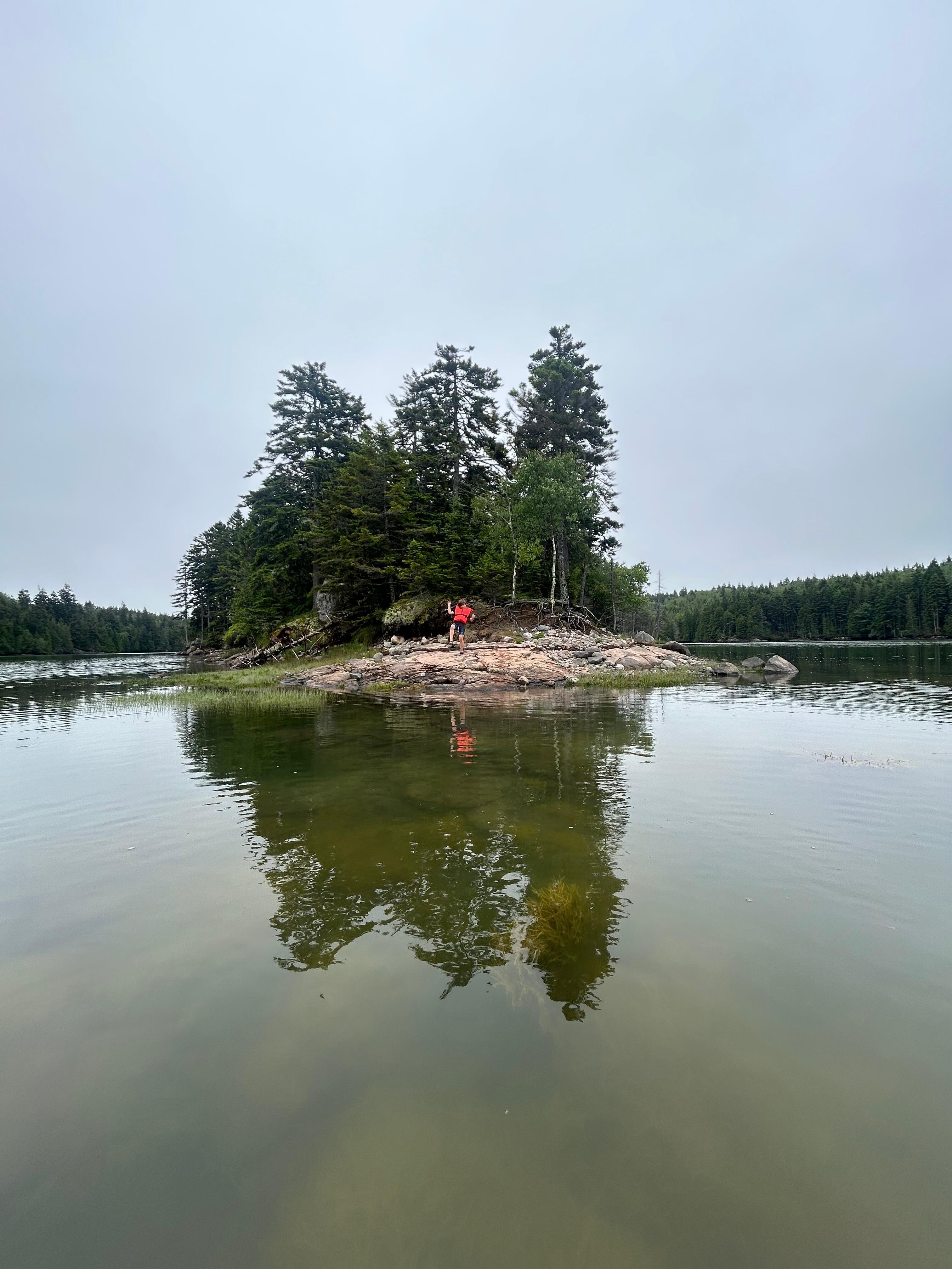 Abbott Island in the cove behind the house