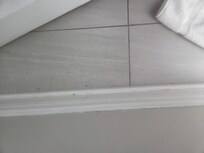 Dirt on Bathroom floor