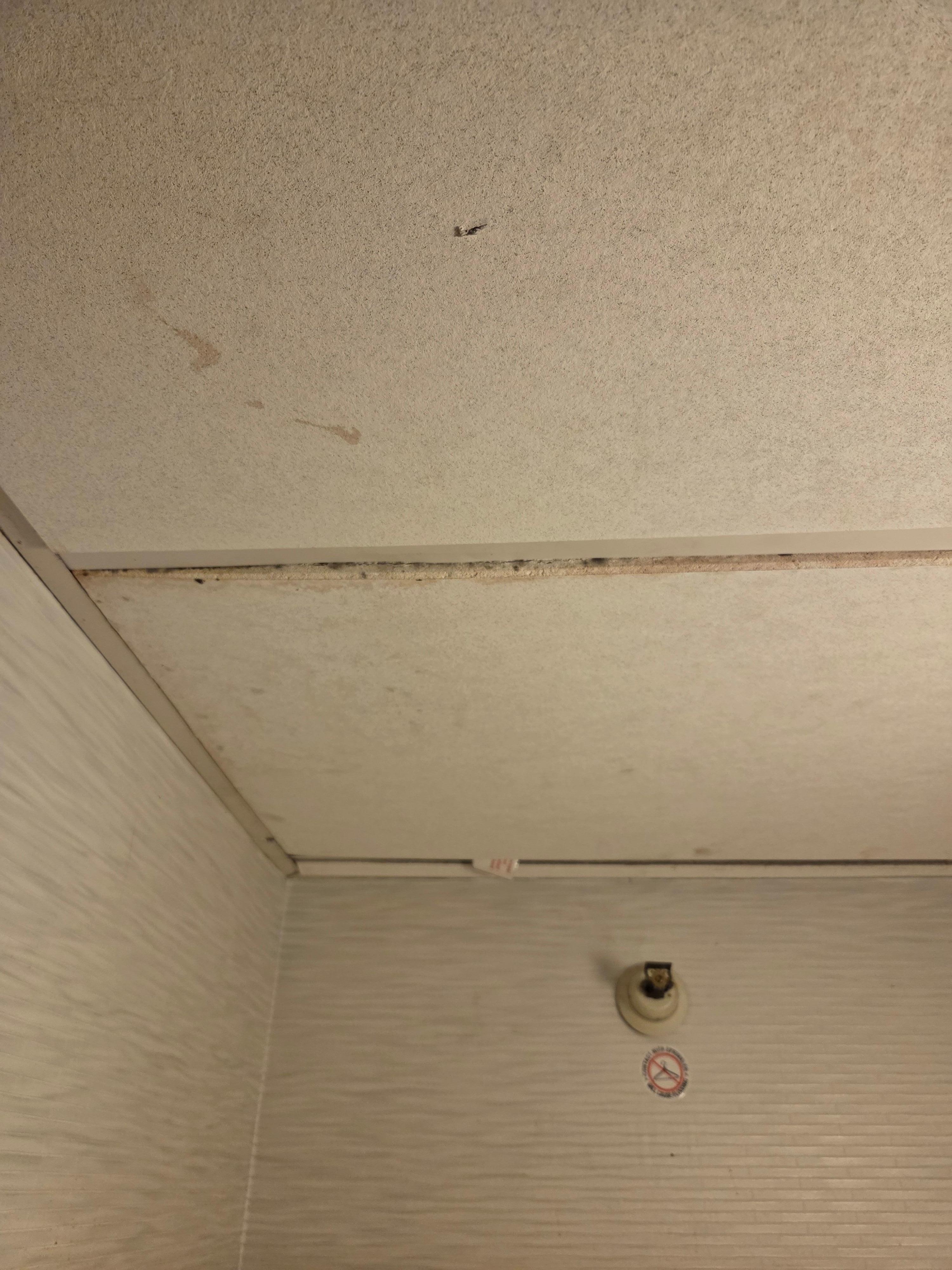 This was on the ceiling about a cabinet that held extra blankets. Its full of mold.