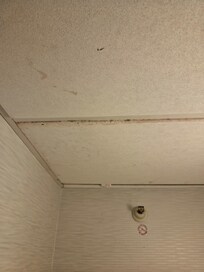 This was on the ceiling about a cabinet that held extra blankets. Its full of mold.