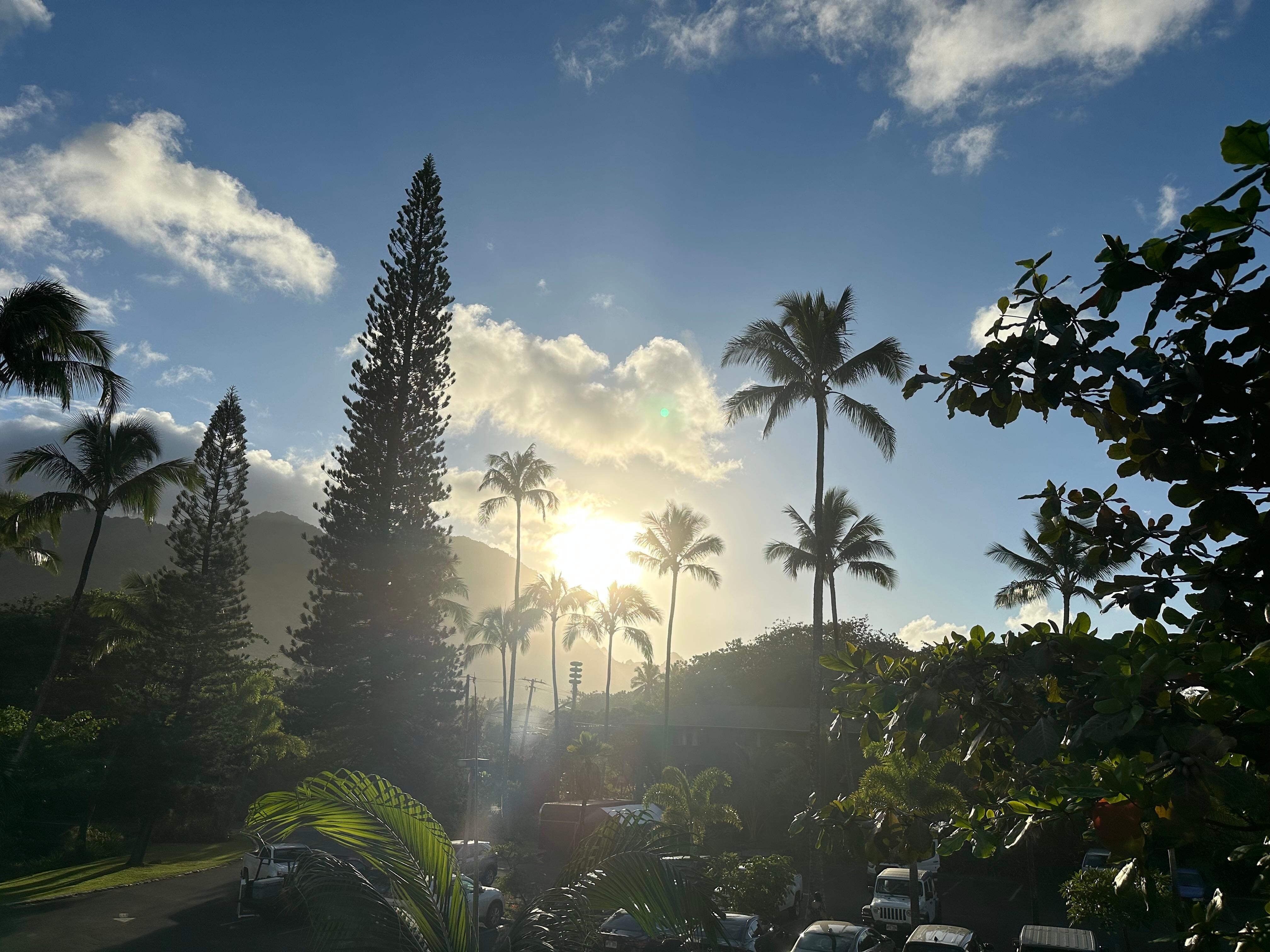 Afternoon view from the back entry 