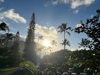 Afternoon view from the back entry