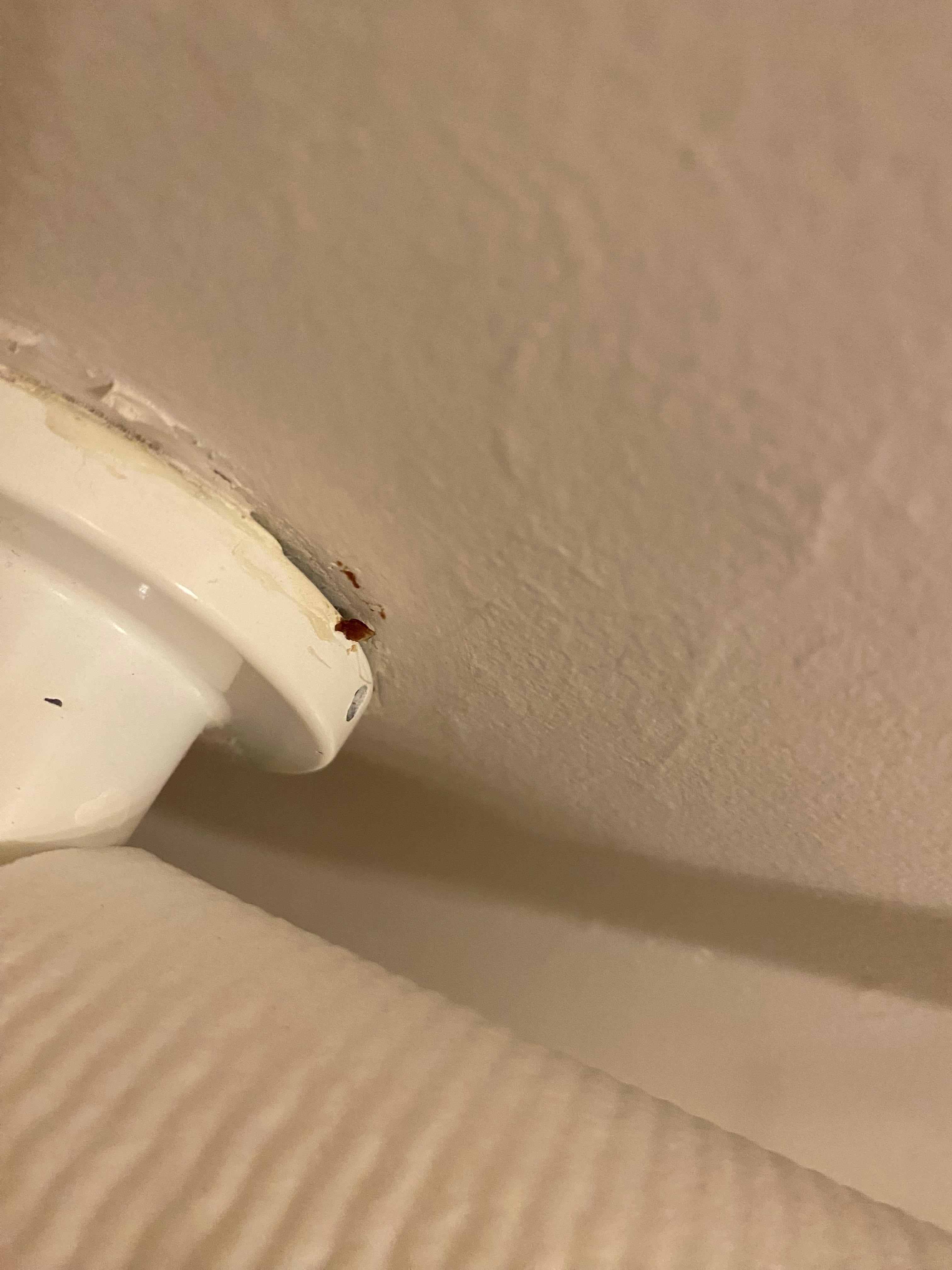 There was lottery fesses on the toilet paper holdee