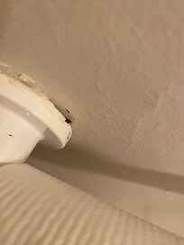 There was lottery fesses on the toilet paper holdee