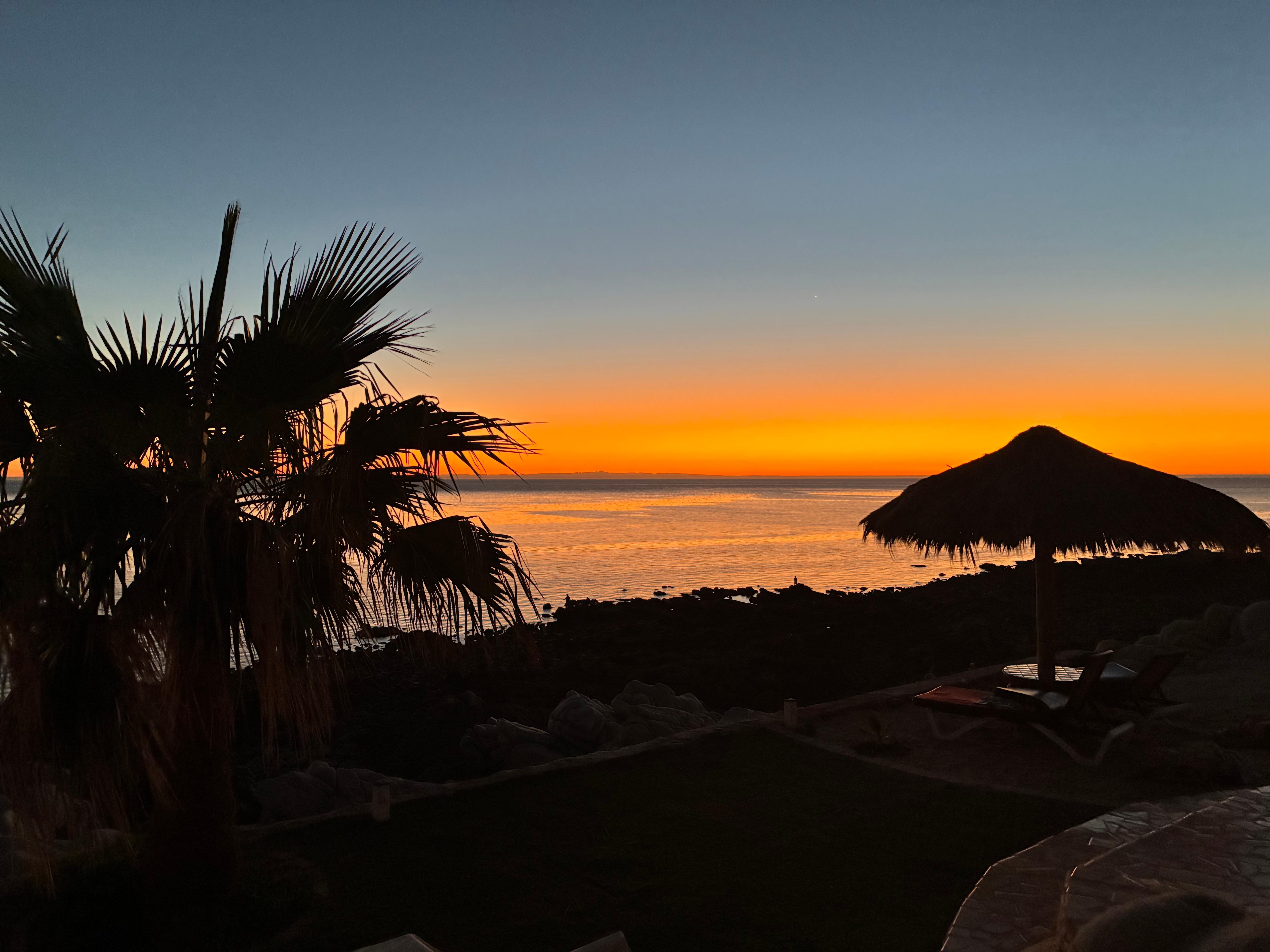 Gorgeous view from the back patio of the property