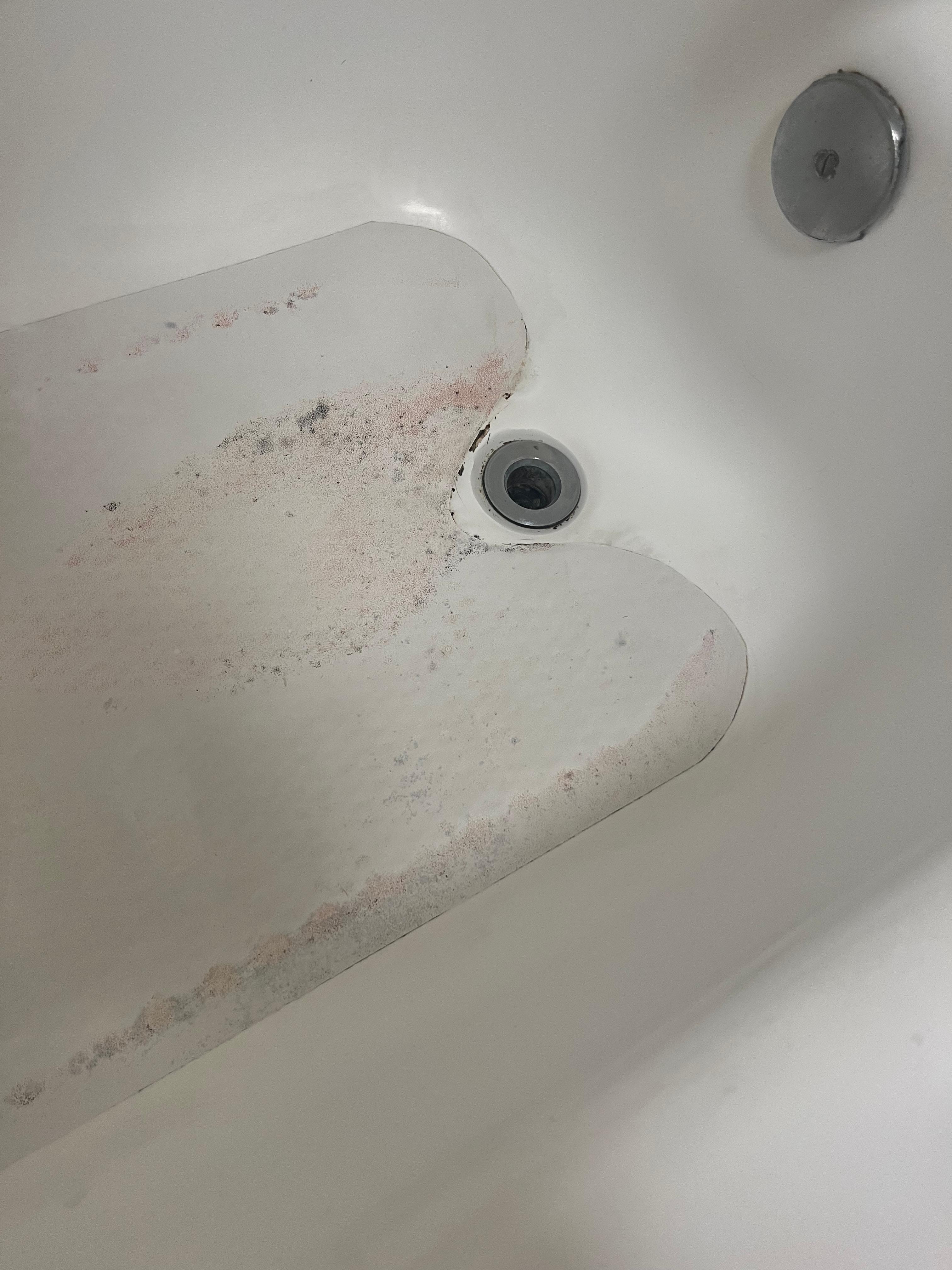 Black mold
