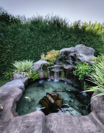 nascente com queda de água