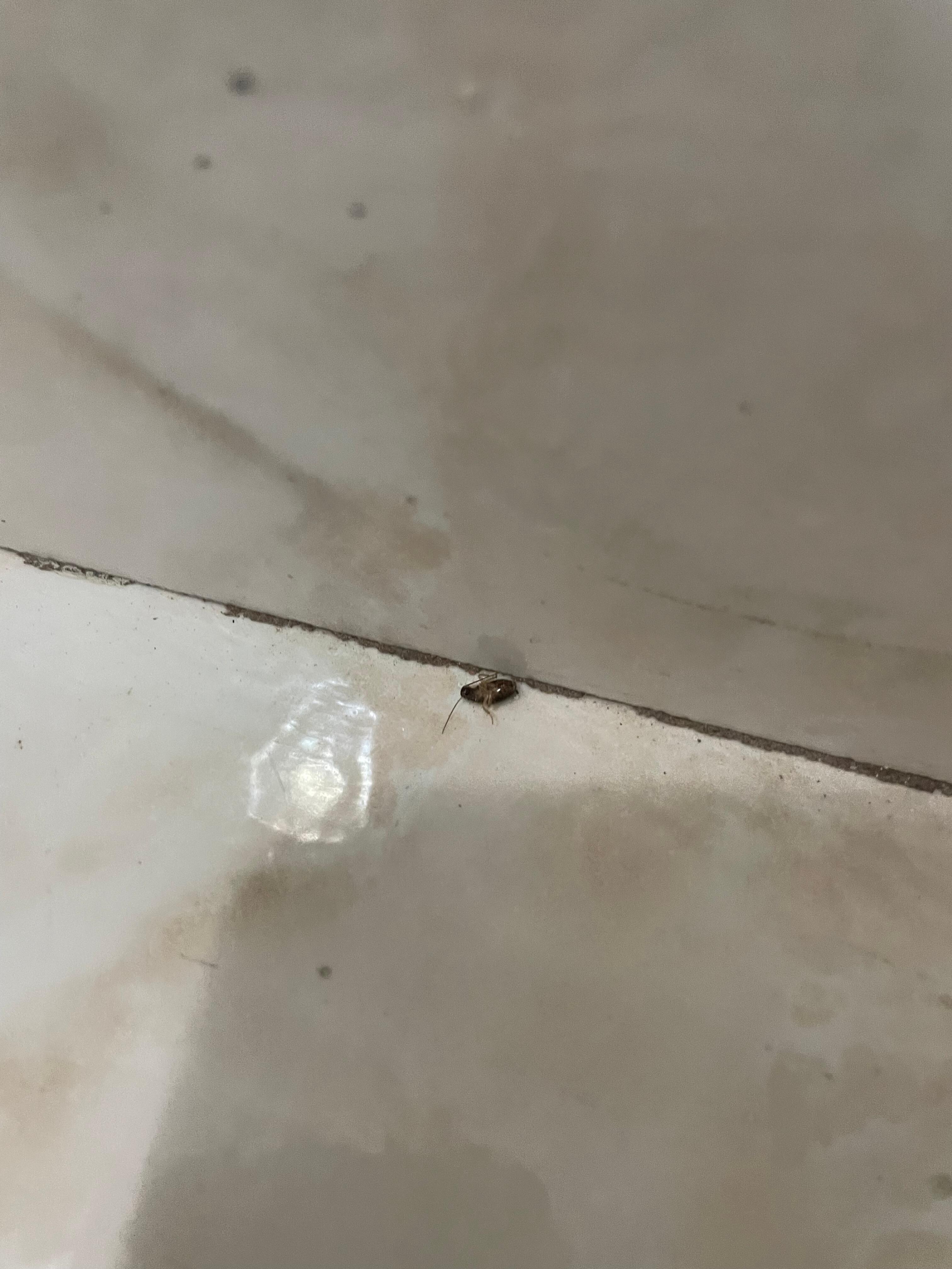 That was the first one I saw when I opened the door 